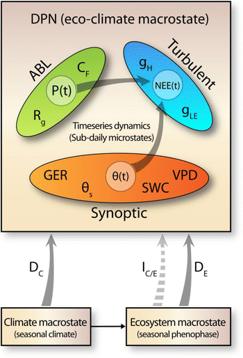 Seasonally varied controls of climate and phenophase on terrestrial carbon dynamics